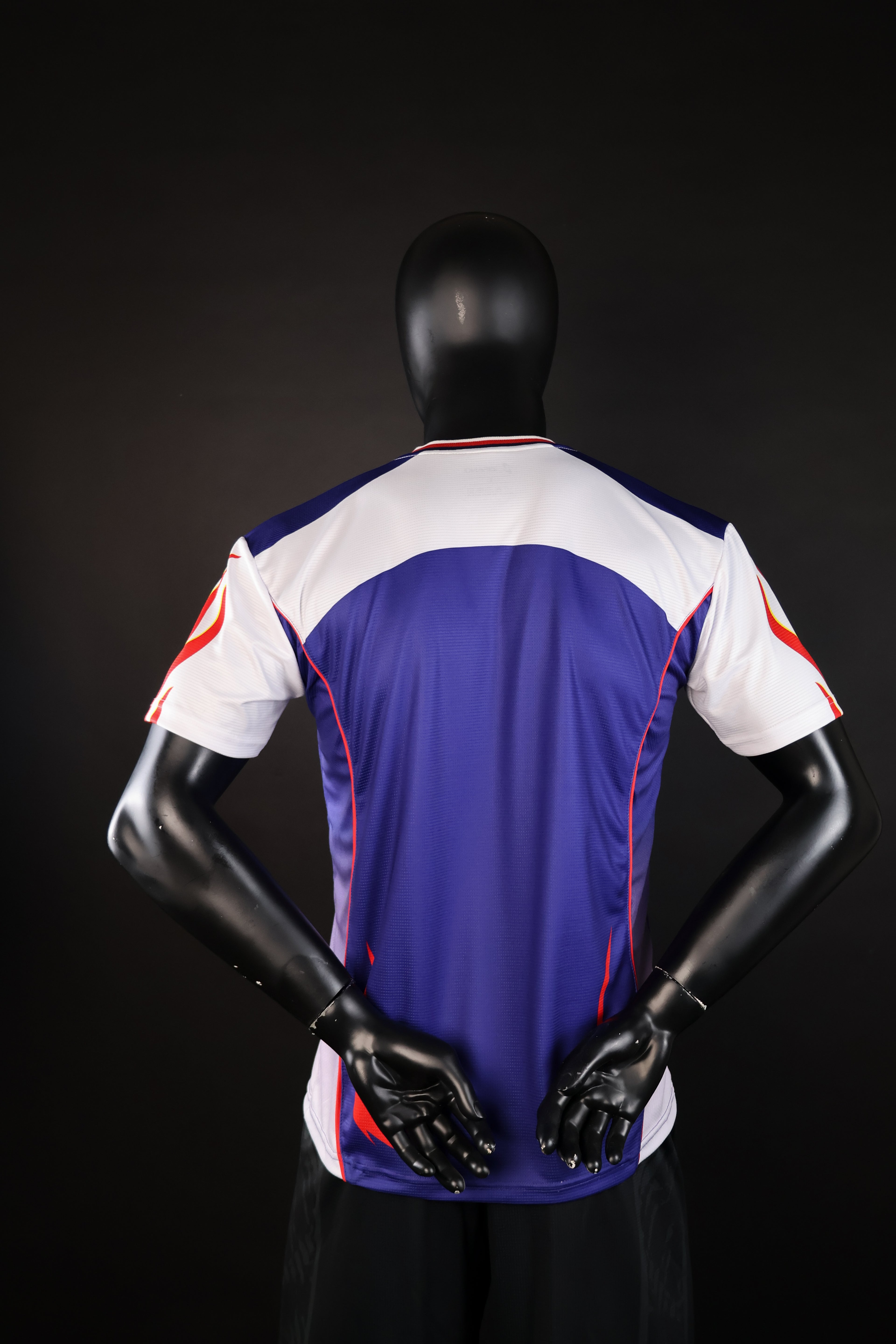 World Cup Edition - Japan